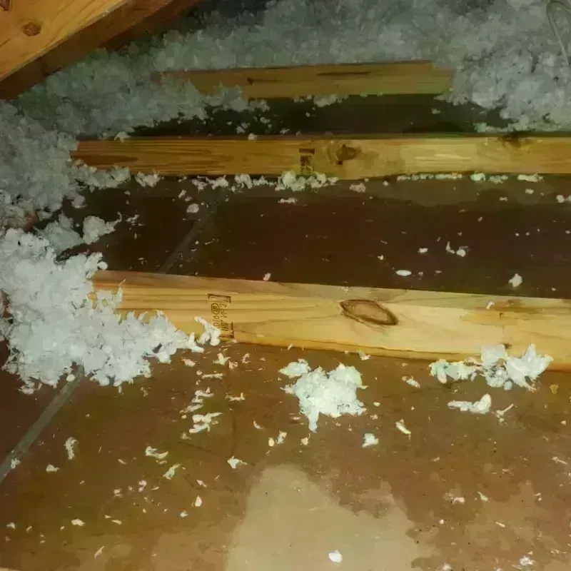 Attic Water Damage in Norwood, NY