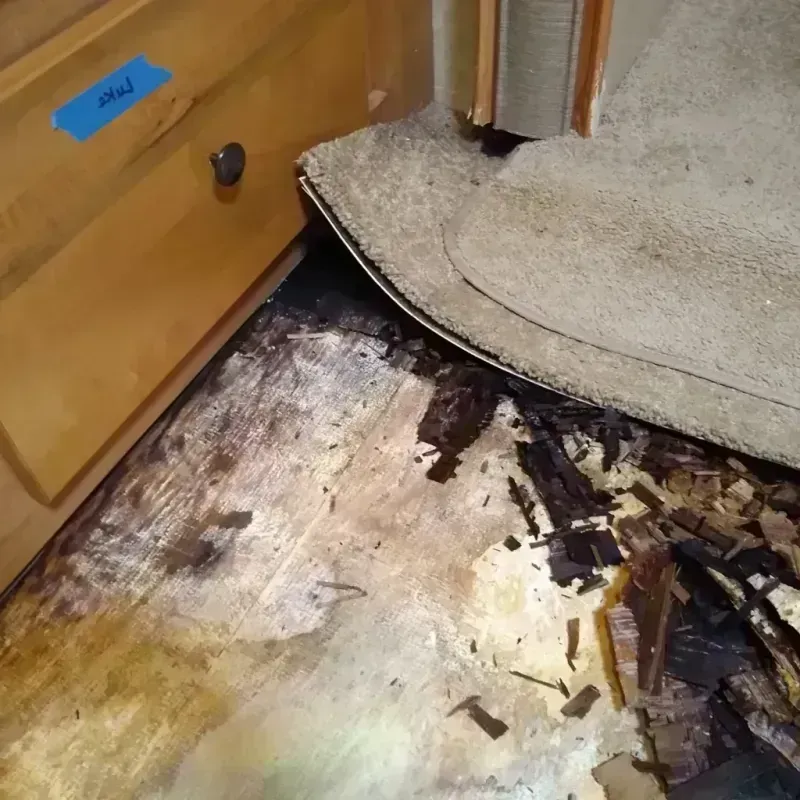 Wood Floor Water Damage in Norwood, NY